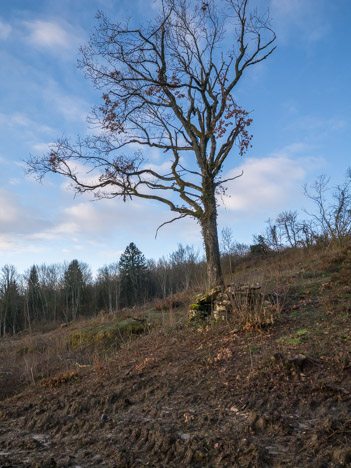 Abri des anciennes carrières