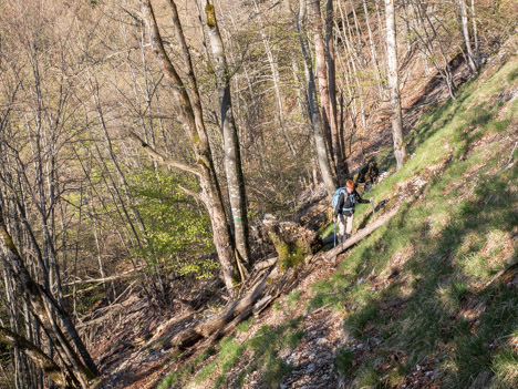 Sous les Quatre Chemins