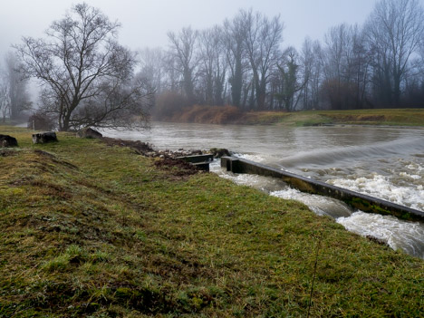 Échelle à poisson sur le Guiers