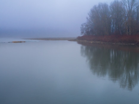 Les eaux tranquilles du Rhône