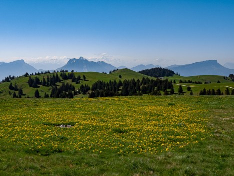 Paysage du Crêt de l'Aigle, mai 2020