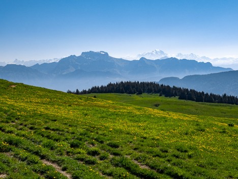 Le somptueux paysages des Chalets de Leschaux, mai 2020