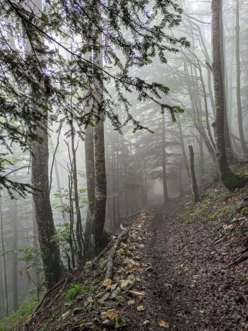 Le sentier du Col de la Cochette