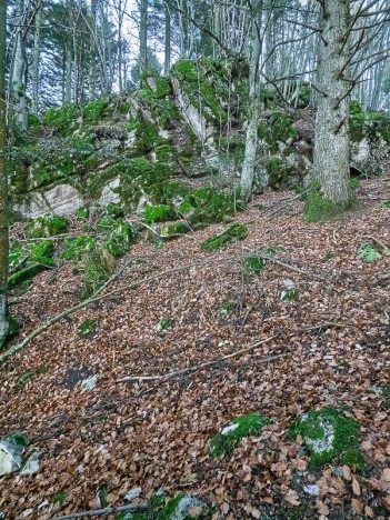 Rochers de Combe Noire