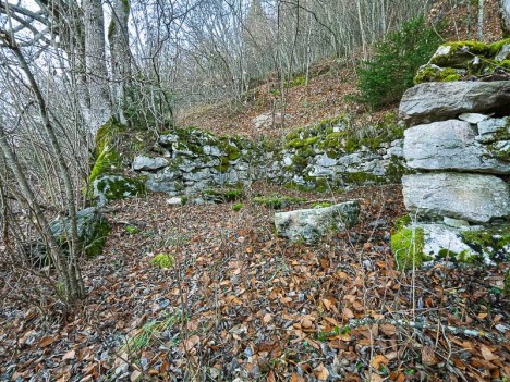 Ruine de Combe Noire