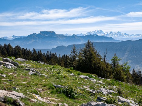 Paysage du Crêt de l'Aigle, mai 2020