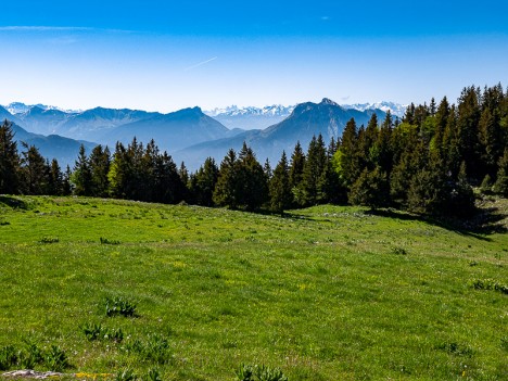 Au pied du Crêt de l'Aigle, mai 2020