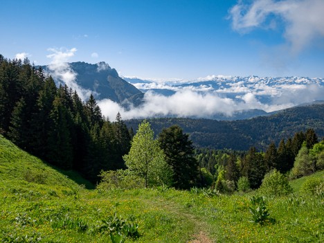 La Dent d'Arclusaz, Belledonne, juin 2021