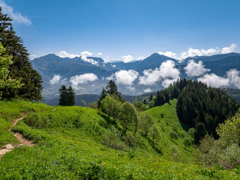 Le Parc du Mouton et la Pointe de Chamosseran, juin 2021