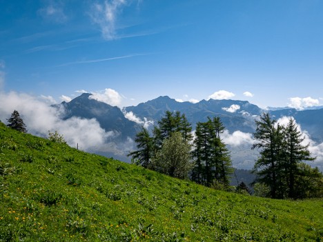 Le Mont Trelod, la Pointe d'Arcalod, la Pointe de Chaurionde…, juin 2021