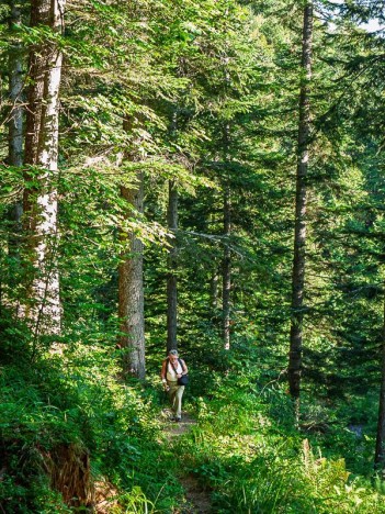 Sentier du Col de la Buffaz