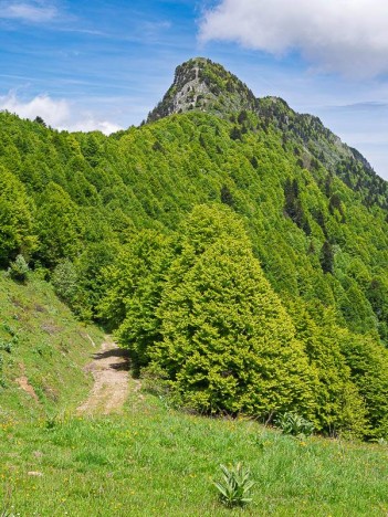 Arête Sud du Grand Roc