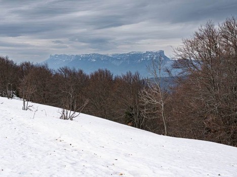 À travers le Mont Charvet