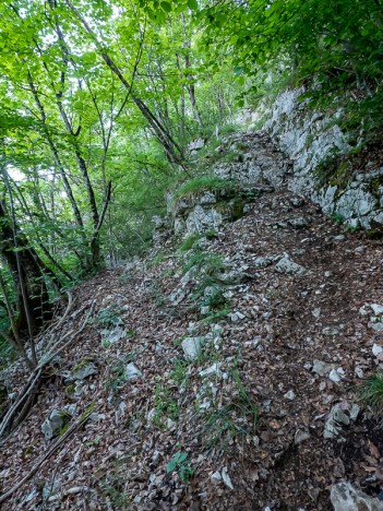 Crêt de l'Ours, mai 2020