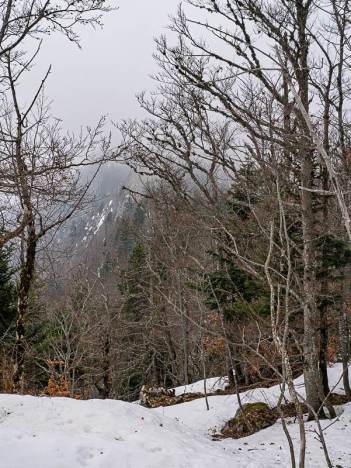 Pentes du Mont Julioz dans le brouillard