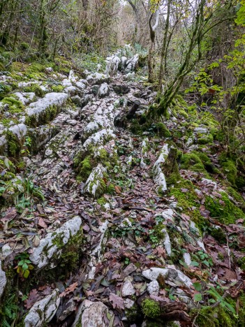 Sentier de la Grotte des Fées, nov. 2019