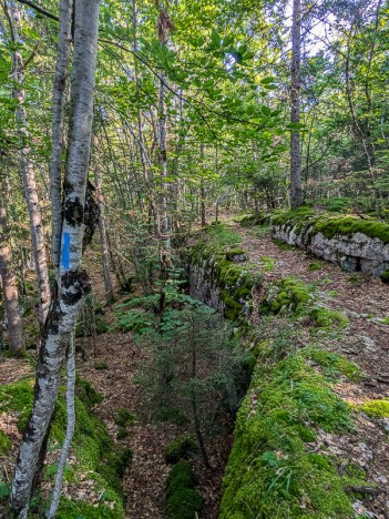 À travers le Chainay-Nord