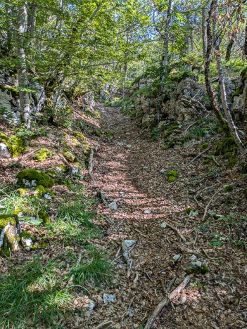 Le sentier du Chainay