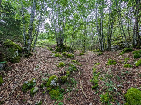 Bifurcation sur le chemin de traverse Ouest-Est