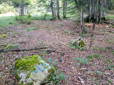 La jonction avec le sentier des Taillis