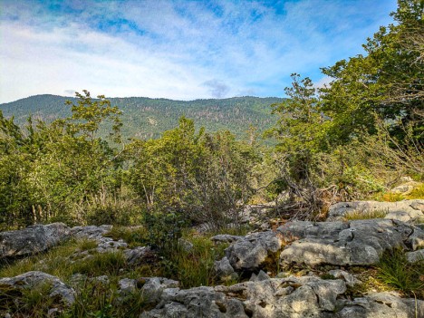 Paysage ouvert sur les crêtes de l'alpage du Mariet