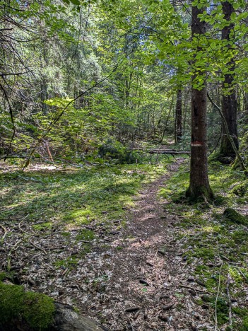 La Montagne de Bange d'Ouest en Est depuis le Mariet