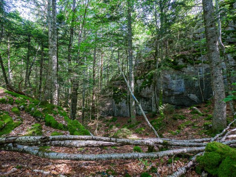 Un défilé rocheux marque le début de la descente