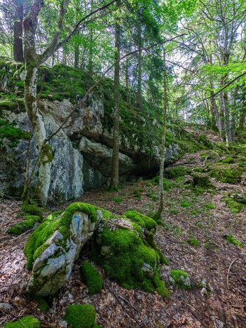Paysage typique du relief karstique de la Montagne de Bange