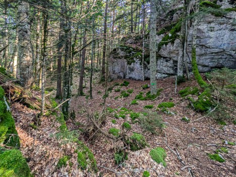 La descente du Chainay à travers un paysage de barres rocheuses