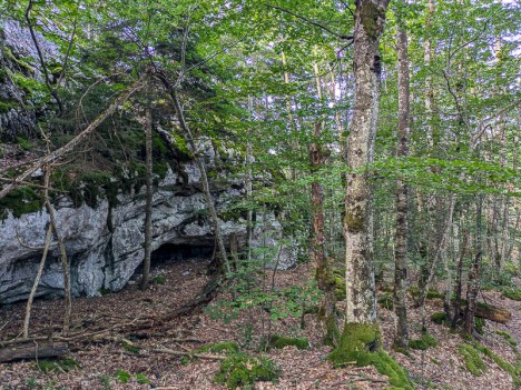Balme au bord du Sentier de la Pierre du Frère