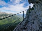 Chemin taillé de la Combe de la Montagne du Charbon