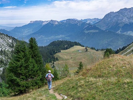 Descente de l'alpage de la Montagne du Charbon