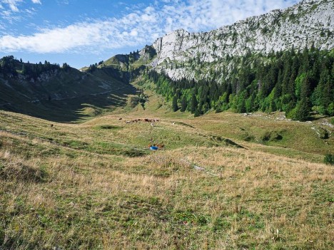 La Pointe de Grand Plat