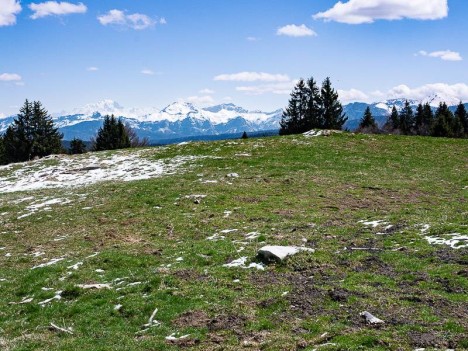 À travers l'alpage du Mont Revard