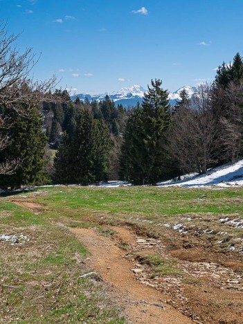 À travers l'alpage du Mont Revard