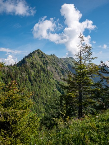 Du Rocher Blanc à la Dent de Cons par la Pointe de Cruessajran, juin 2020