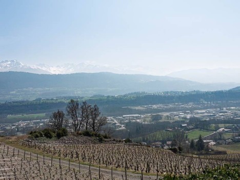 La zone d'activité de montmélian depuis le vignoble