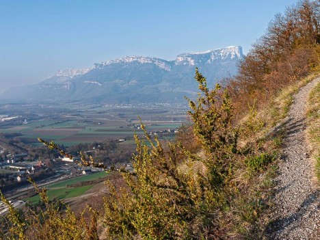 Le Granier et la Chartreuse