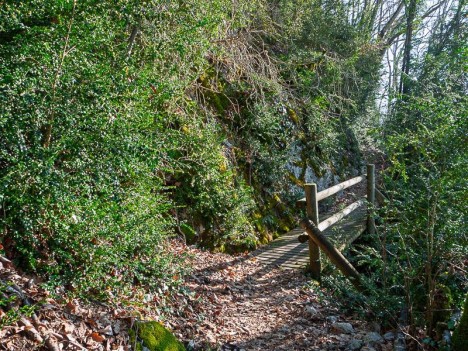 Passerelle sur le sentier de la Roche du Guet