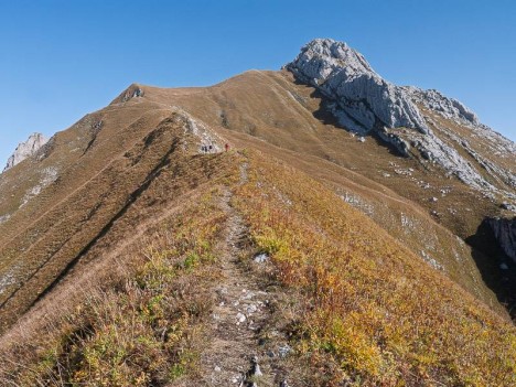 La croupe herbeuse et arête Sud du Mont Trélod