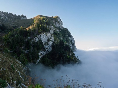 Dent de Pleuven