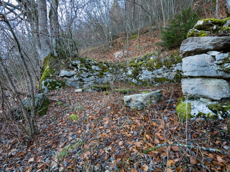 Ruine de Combe Noire