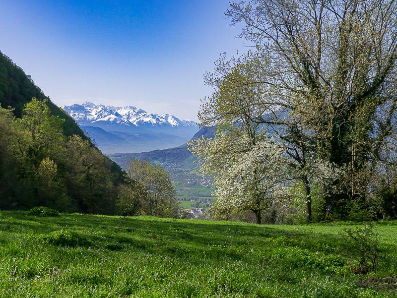 Vers la Ferme de Bellevarde, le printemps…