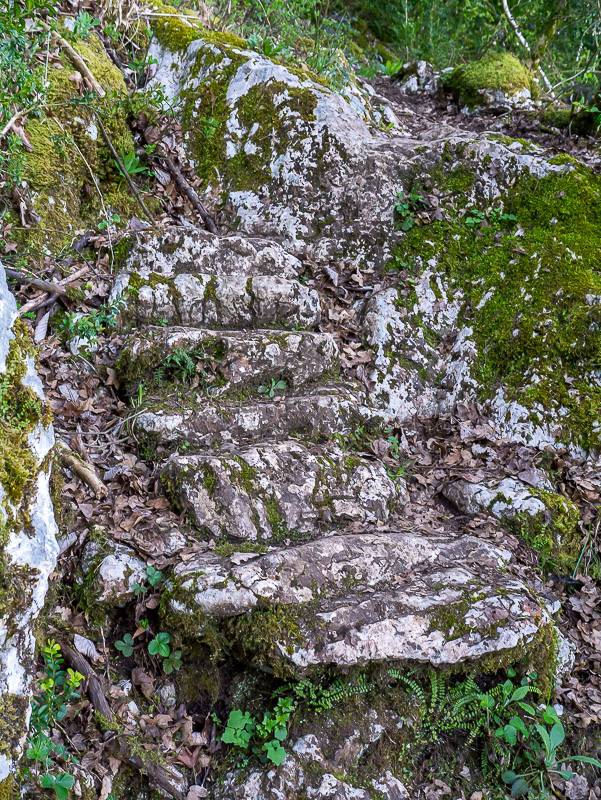 Ancien escalier sur le sentier de la Ferme de Bellevarde