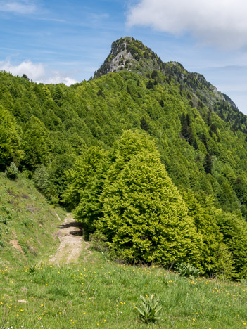 Arête Sud du Grand Roc