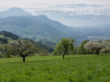 Paysage printanier de la Combe de Savoie