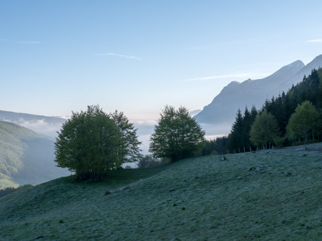 Gelée matinale sur le chemin du Cernay