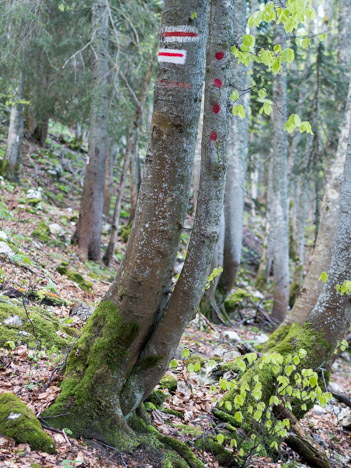 4 points rouges jalonnent la sente du Jardin des Dames