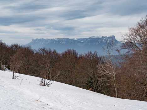 À travers le Mont Charvet