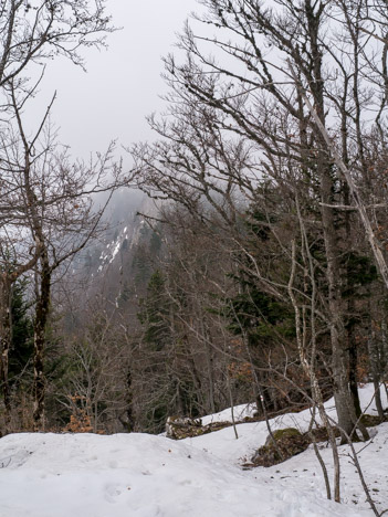 Pentes du Mont Julioz dans le brouillard